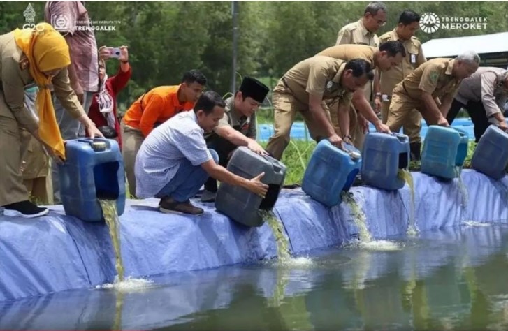 Produksi perikanan budi daya di Trenggalek capai 2.323,98 ton